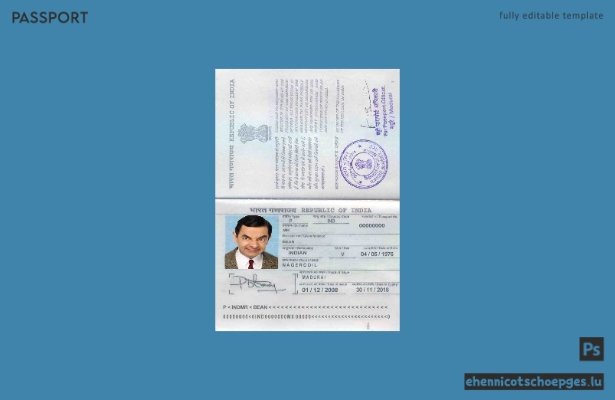 Vorschau eines Beispielpasses für einen indischen Reisepass